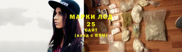 твердый Новодвинск