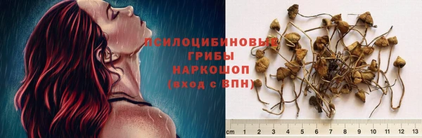 спиды Алексеевка