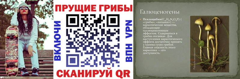 Псилоцибиновые грибы мухоморы  Красноуральск 